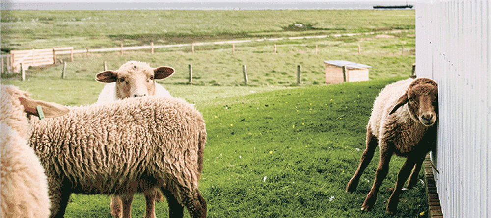 Mathijs Deen :: Onder de Mensen